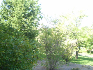 Frontyard (2014-03-13)