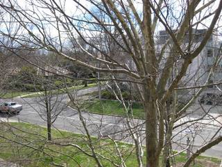 View (2010-09-10)