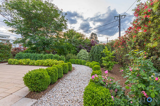 Rear Yard (2015-11-11)