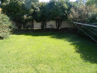Yard (2012-05-02)