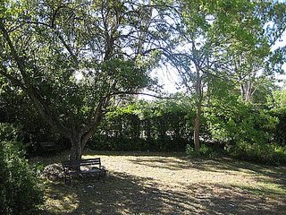 Front garden (2006-02-17)