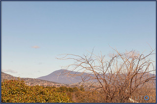 View (2013-08-16)