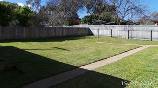 Backyard (2014-07-21)