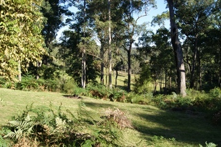 Garden (2011-05-07)