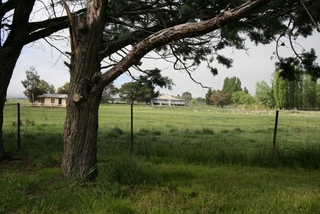 Street View (2010-10-13)