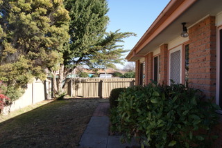 Backyard (2015-06-29)