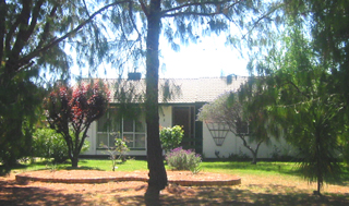 Front yard (2002-10-29)