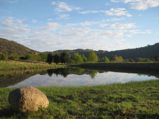 Dam 2 (2013-11-03)