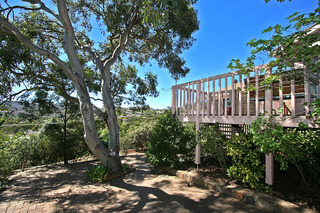 Side Patio (2010-01-21)