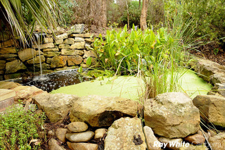 Feature Pond (2011-03-17)
