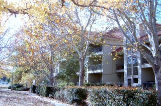 Complex (2007-04-27)