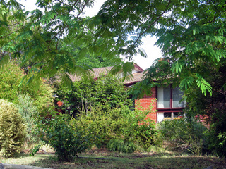 Frontyard (2004-12-15)