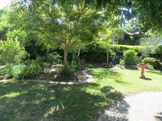 Front garden (2018-04-23)