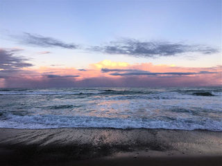 (2019-01-11)