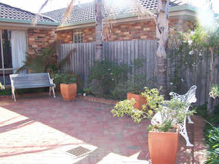 Backyard (2007-04-12)