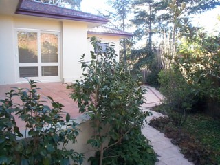 Back path (2004-07-06)