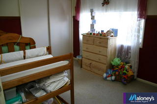 Bed 3 (2006-10-31)