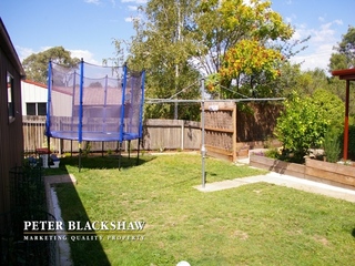 Backyard (2011-11-11)