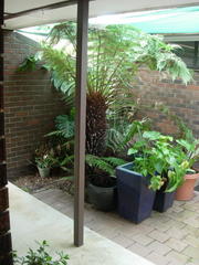 Front Courtyard (2010-07-19)