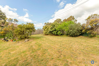 Backyard (2015-10-15)