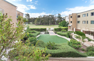 Communal Gardens (2015-10-26)