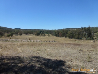 Paddock (2013-02-08)