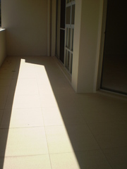 Standard Photo (2010-12-29)