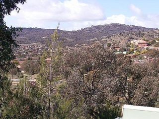 View (2005-08-10)