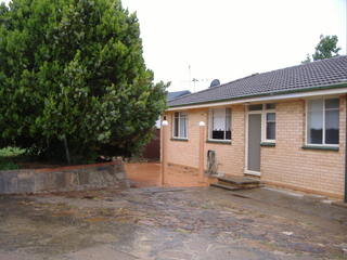 Backyard (2012-06-24)
