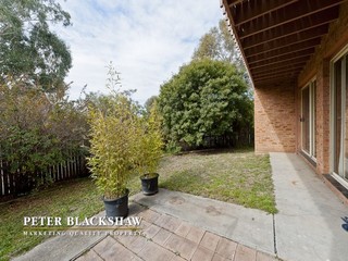 Rear yard (2011-08-09)