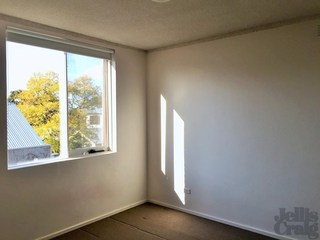 (2016-11-11)