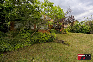 Garden (2014-01-24)