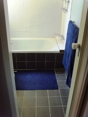Bathroom (2013-02-13)