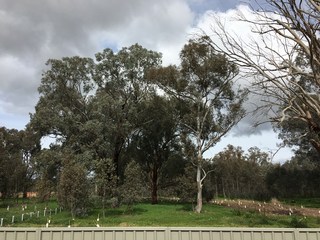 (2017-12-07)