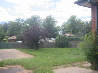 Backyard (2009-01-30)