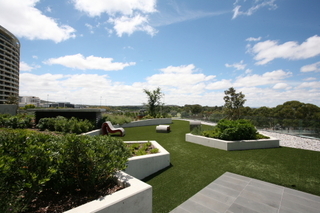 4th Floor Garden (2013-03-18)