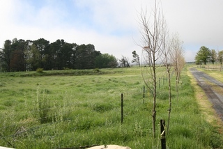 Side Paddock (2010-10-13)