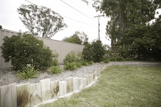 Rear garden (2007-05-24)