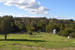 Frontyard (2014-04-19)