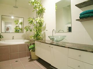 Bathroom (2005-04-07)
