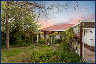 Back garden (2012-10-10)