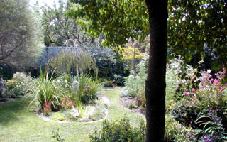 Backyard (2003-01-30)