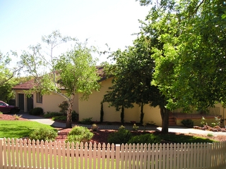 Main (2006-10-17)
