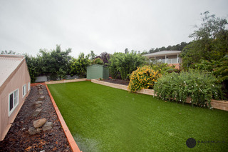 Backyard (2011-01-12)