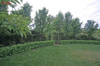 Garden (2007-10-26)