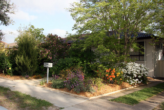 Main (2009-10-29)