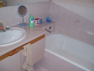 Bathroom (2010-07-09)