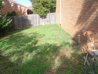 Backyard (2009-01-23)