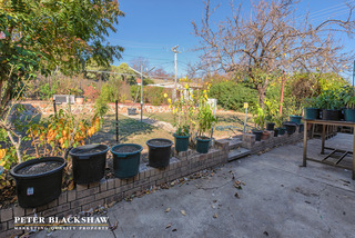 Backyard (2016-05-12)