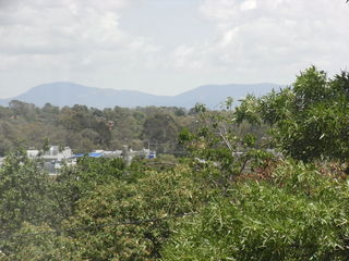 View (2009-12-23)